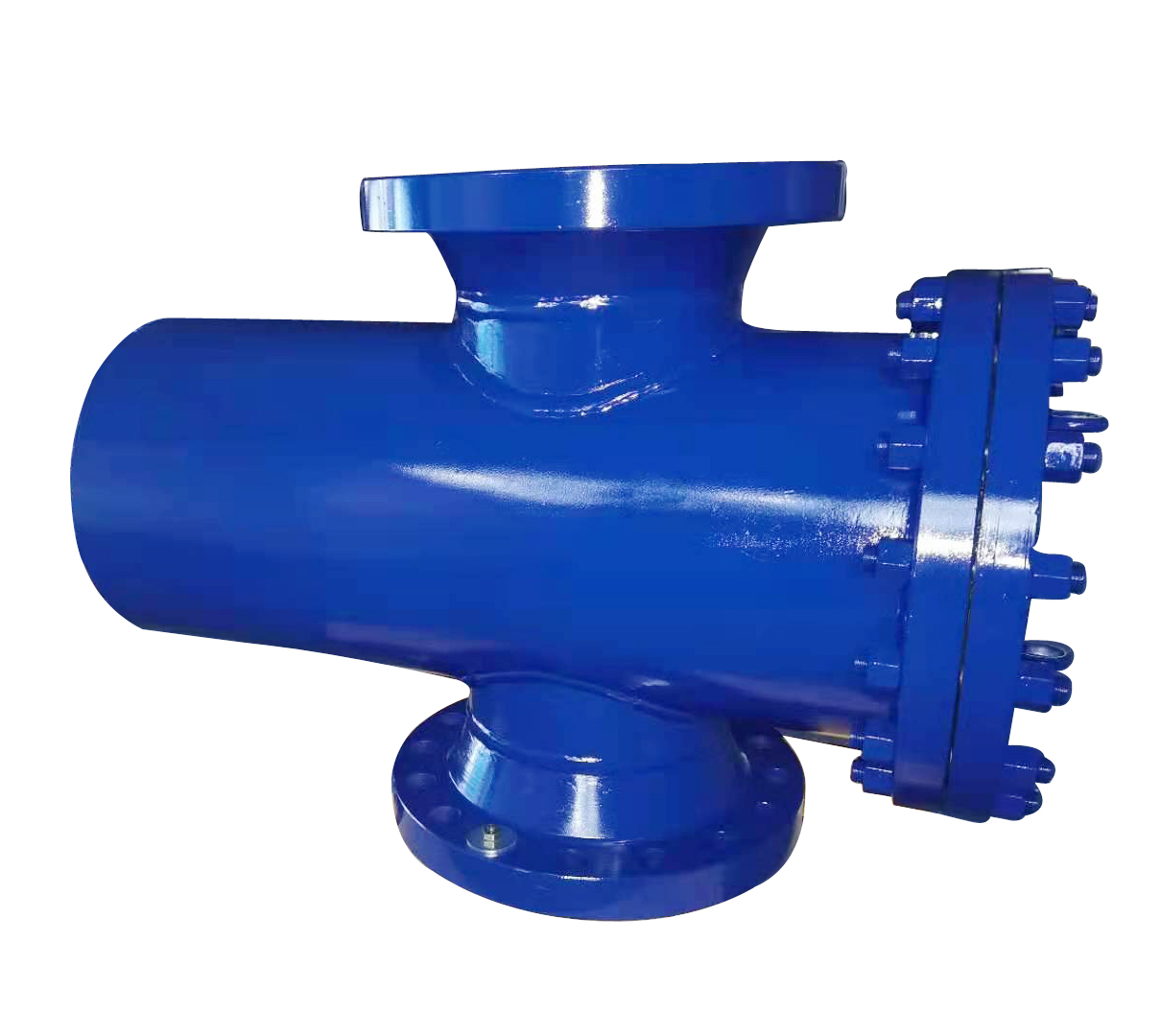 篮式过滤器 (12)