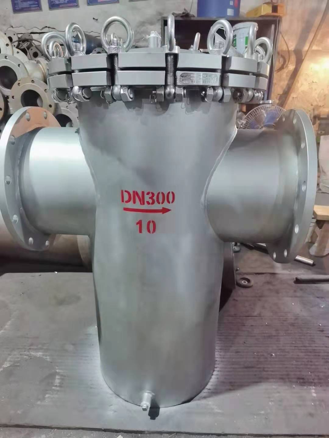 篮式过滤器 (10)