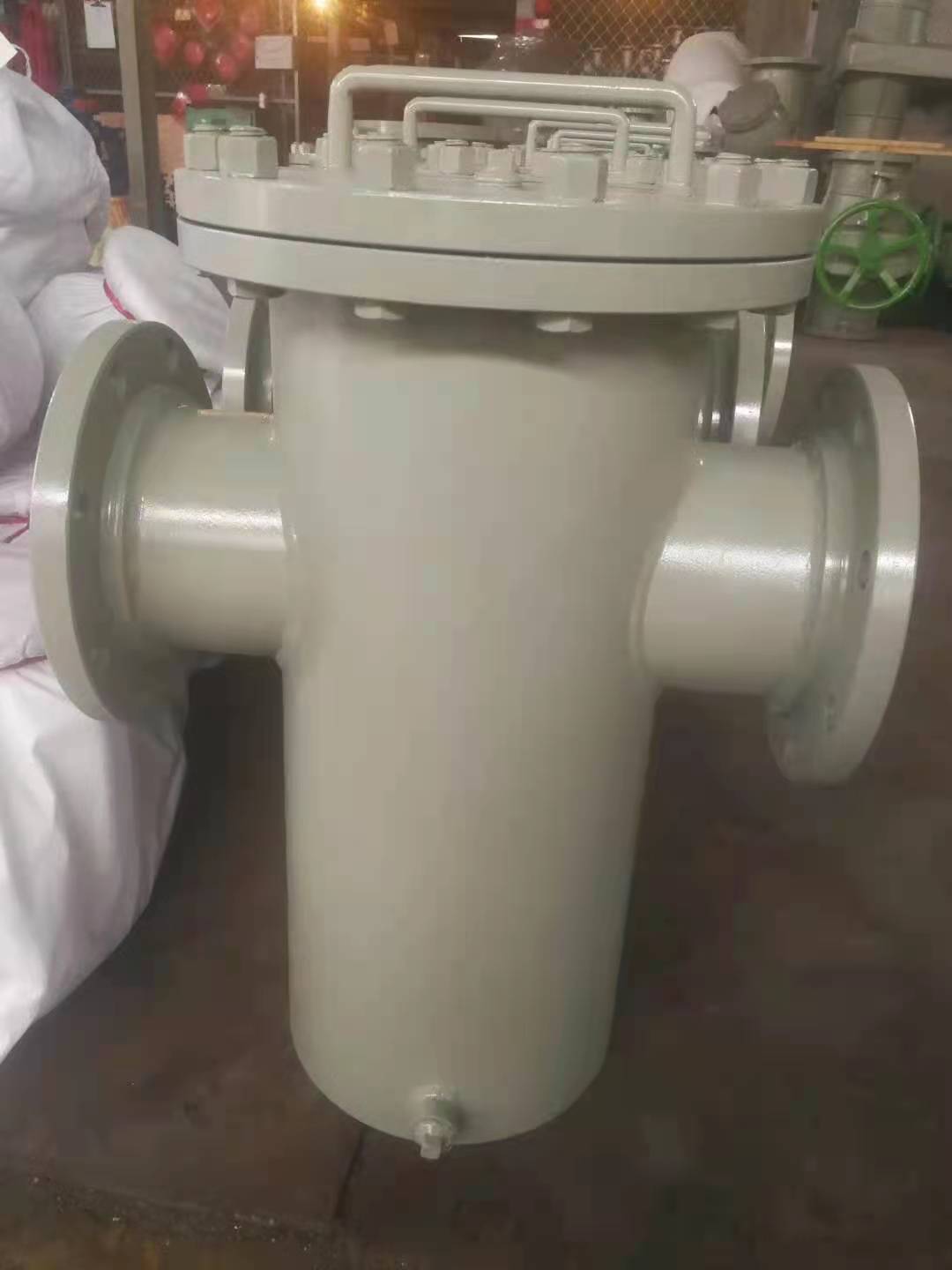 篮式过滤器 (11)