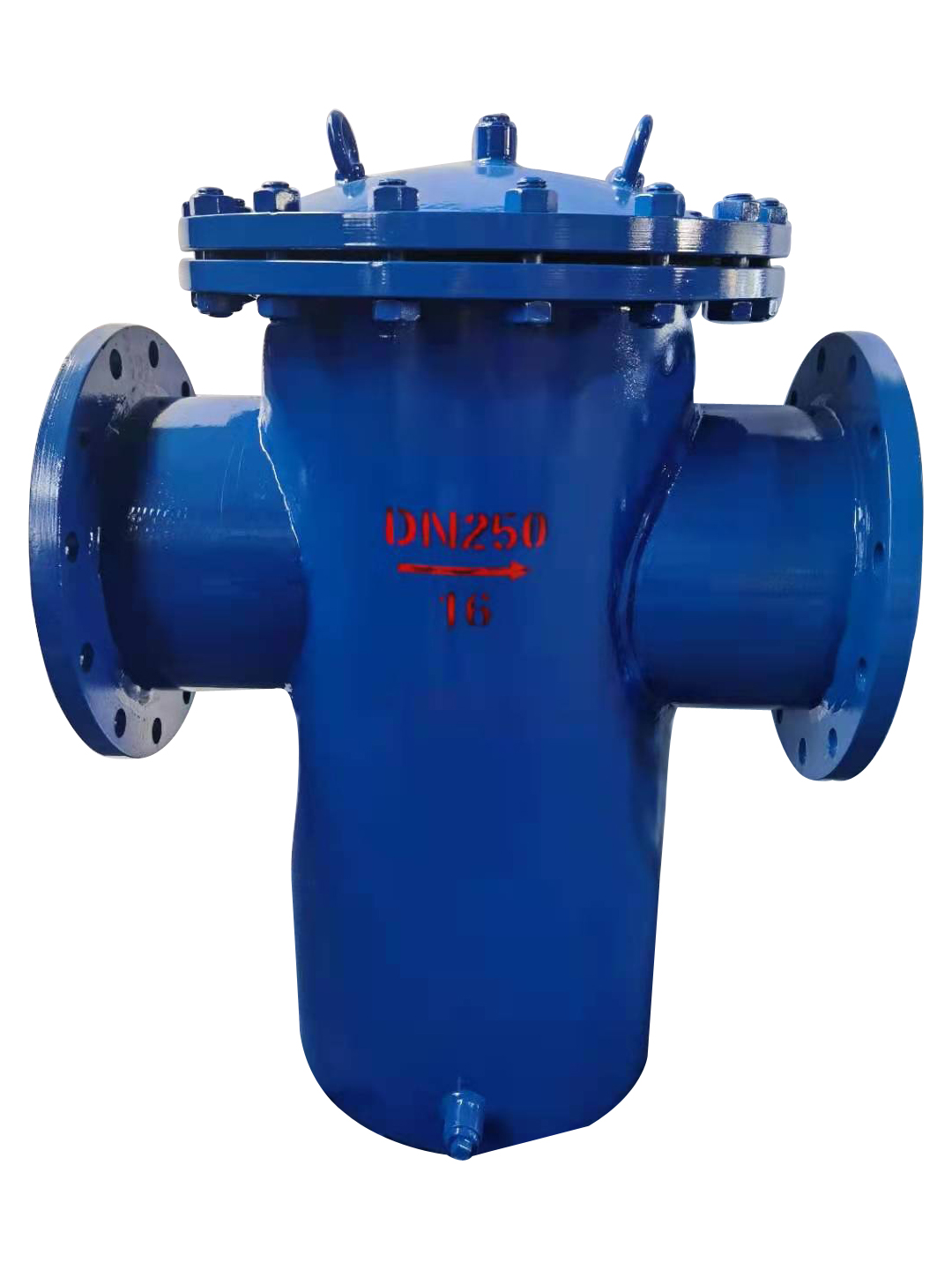 篮式过滤器 (13)